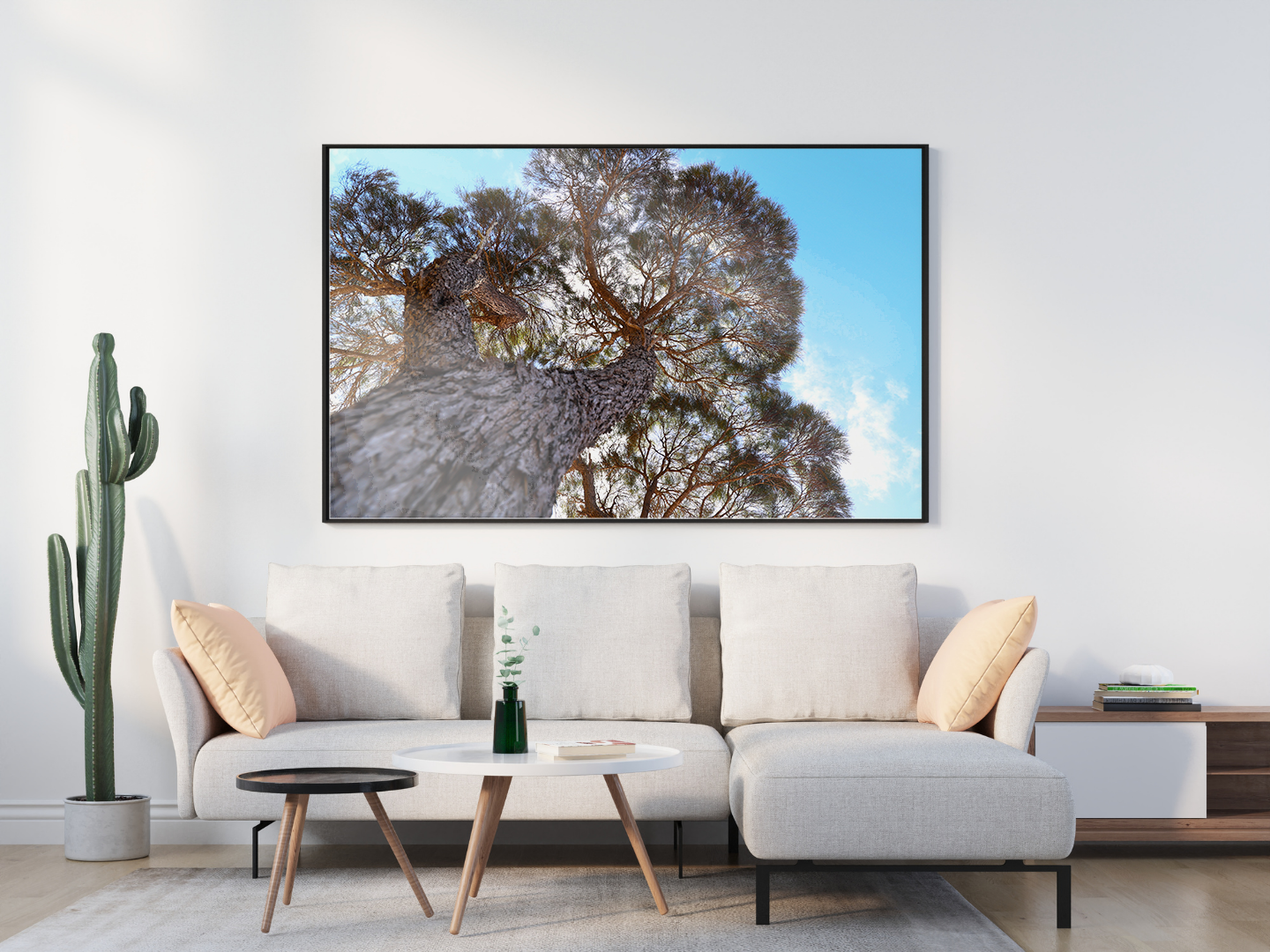 Tall Canopy original abstract contextualised office art modern decor photo print by Blair Montague Drake